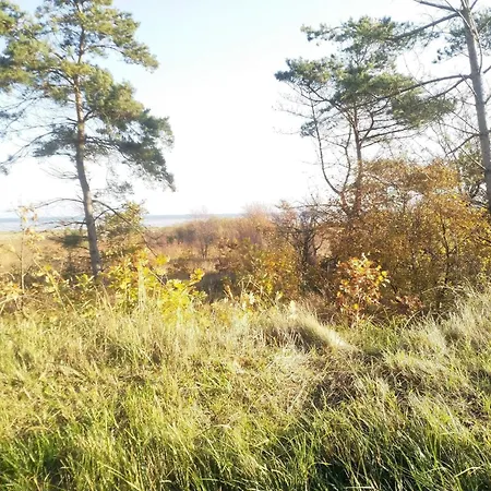 8 Person In Hadsund-by Traum